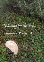  20170330-Waiting_for_the_Echo _image_1_2.jpg 